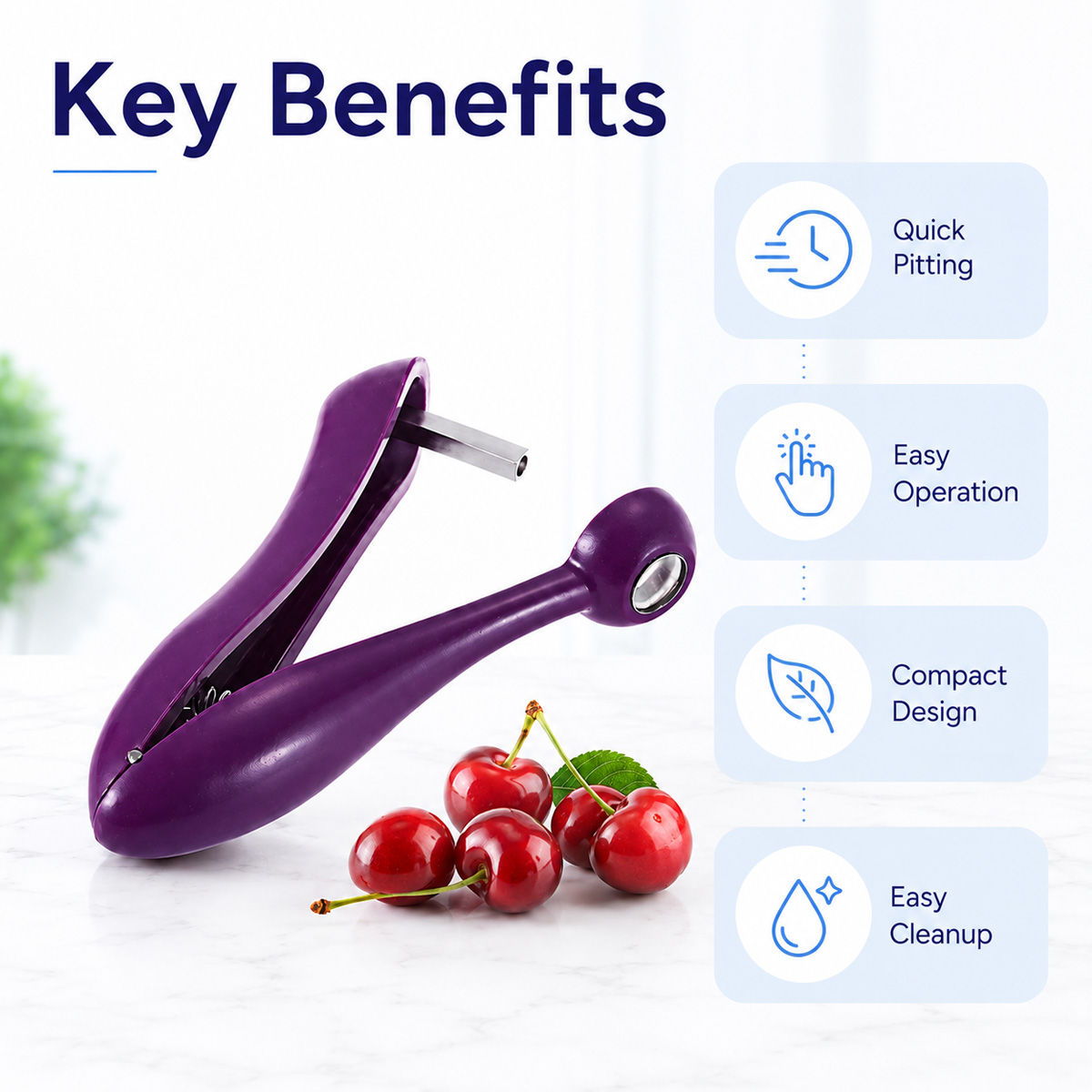 Cherry Kernel Remover Handheld - Kitchen Tools In Baking ulasan dan harga